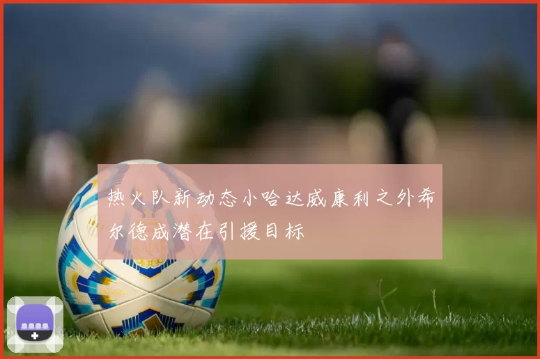 热火队新动态小哈达威康利之外希尔德成潜在引援目标